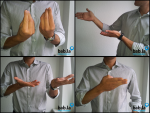 Italian-Sign-Language